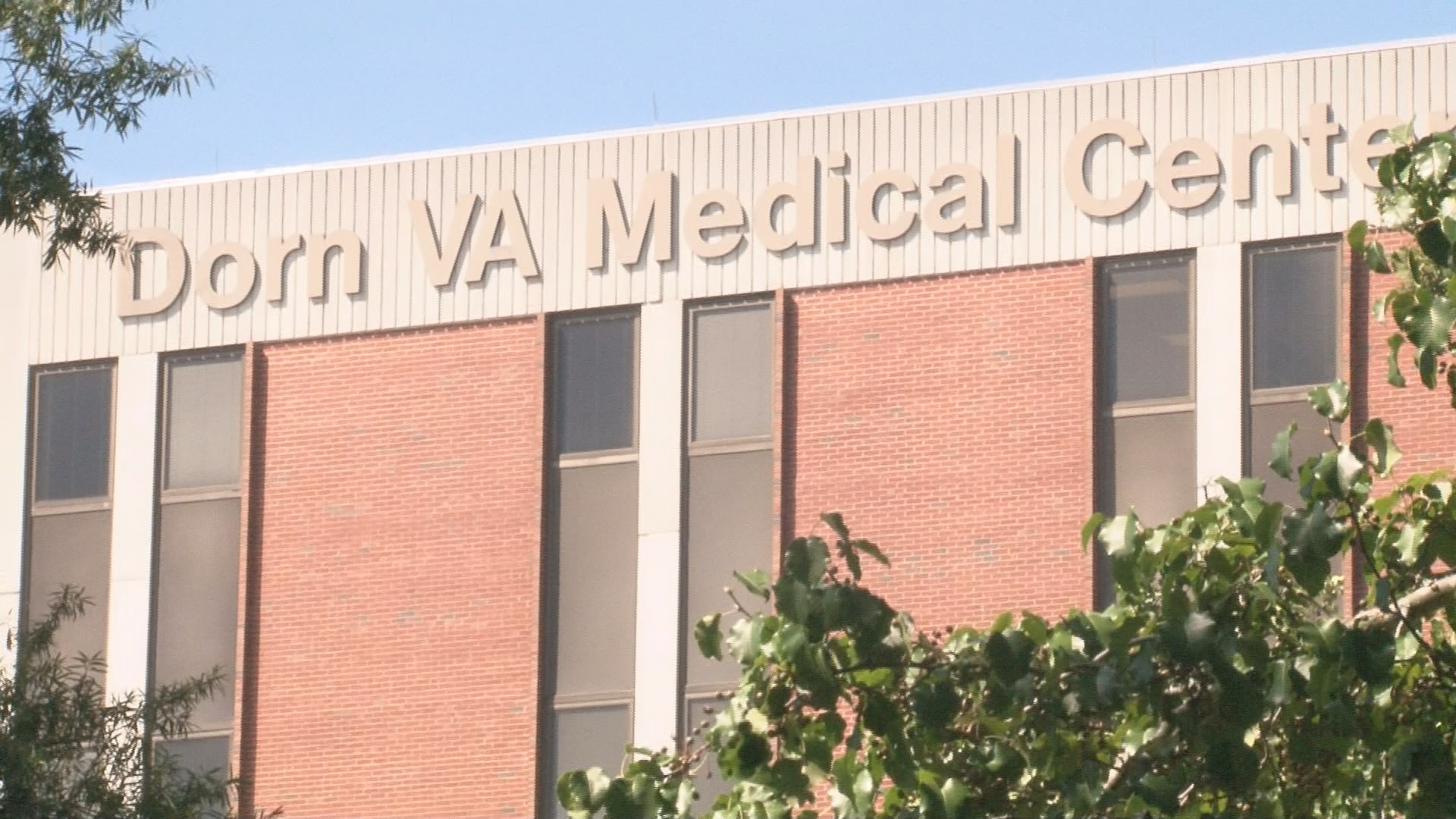 Dorn Va Medical Director Steps Down